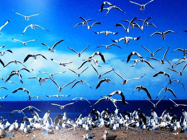 联系人管理软件