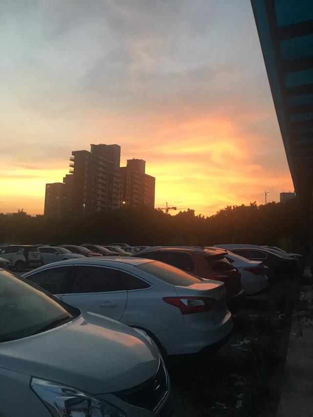 广州知名软件公司