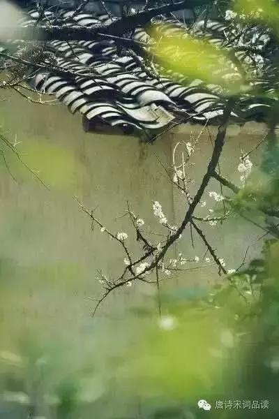   ʫ