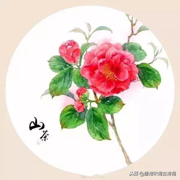 ʫڹ