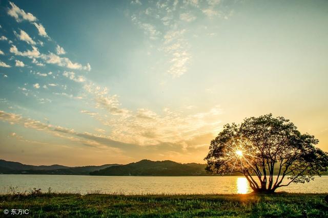 word2010怎么撤回操作