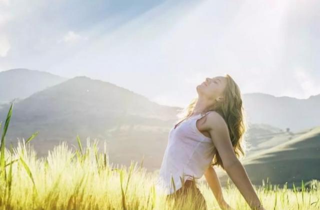 臻致美家具乌金木