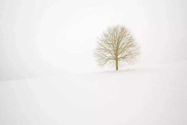 易康软件决策树分类