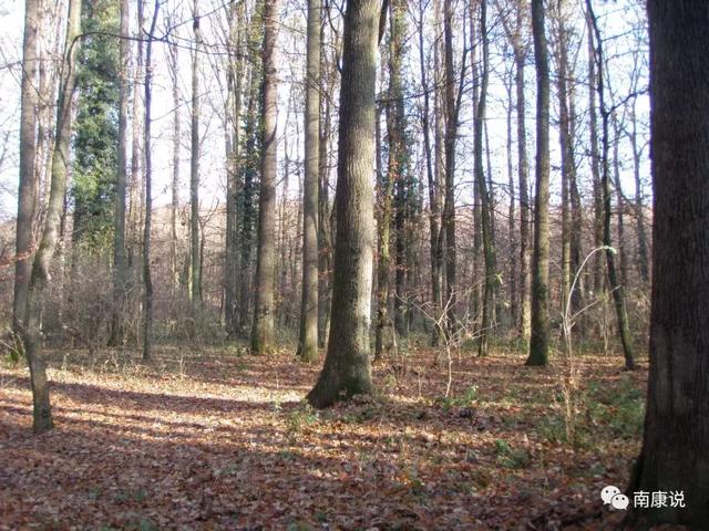 南康橡木套房福兴家具