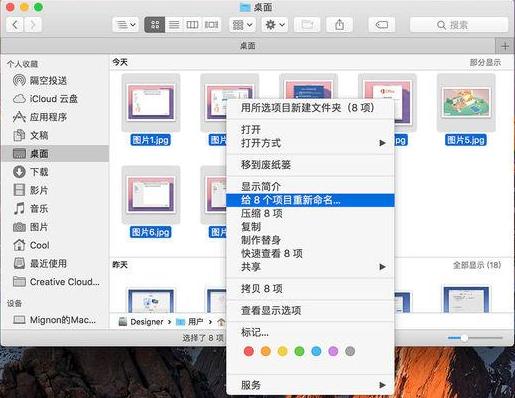 mac 查找软件
