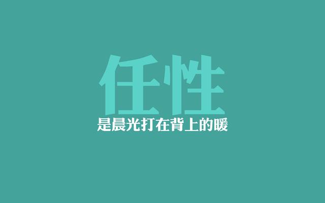 软件方案编写重点