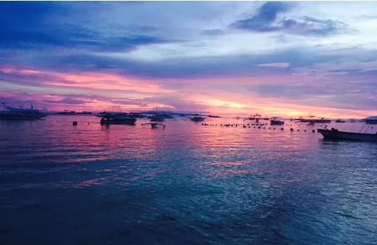 pdf文件复制到word