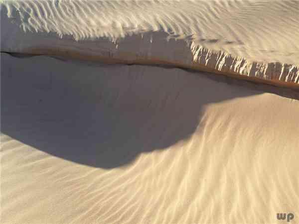 三毛写的沙漠的句子