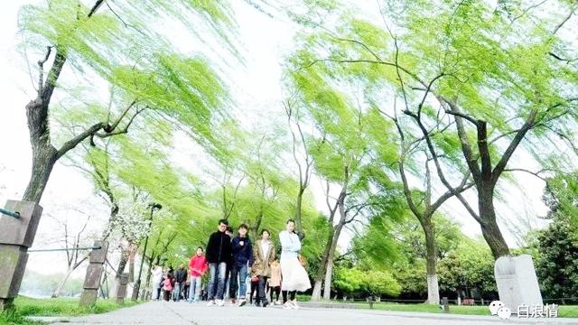 compressed files pas