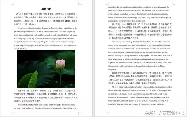 word怎样删除引文