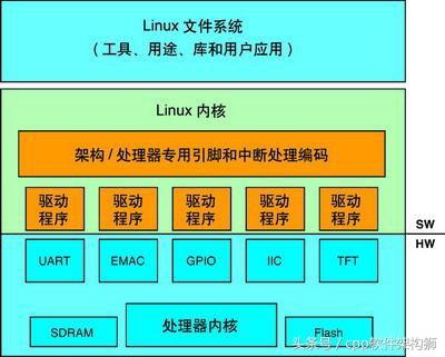 word自动阅卷源码c