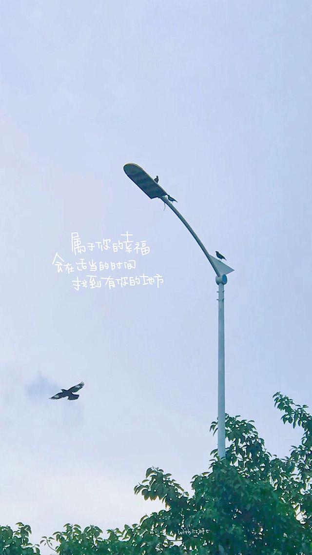 形容无力回天的句子