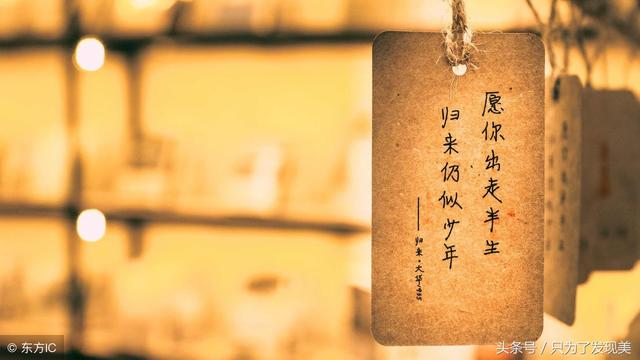 散文赏析软件