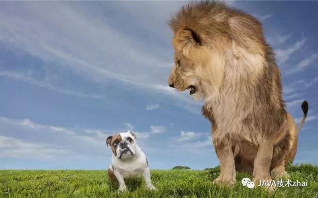 提高阅读能力的软件