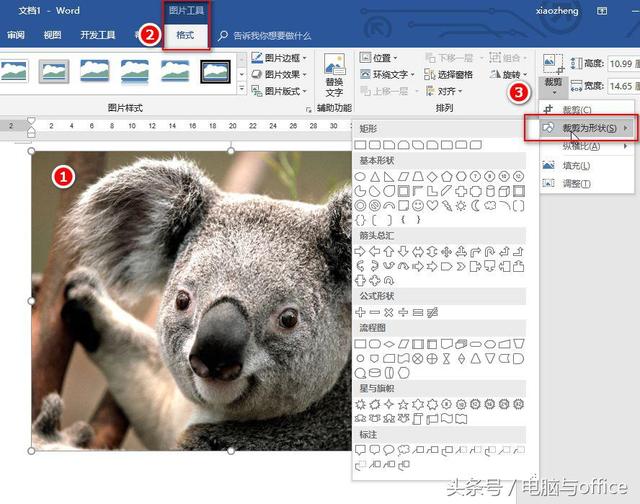word裁剪图片形状