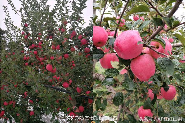 河南三门峡家具市场