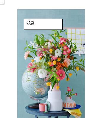 如何在word中圈中图片的一部分