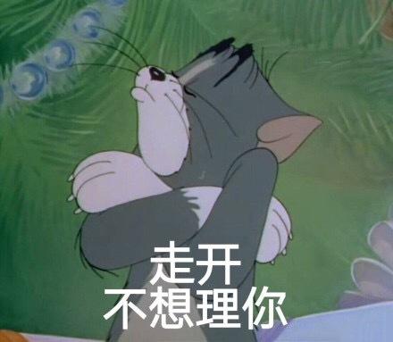 什么之不理的成语_我不理什么(3)