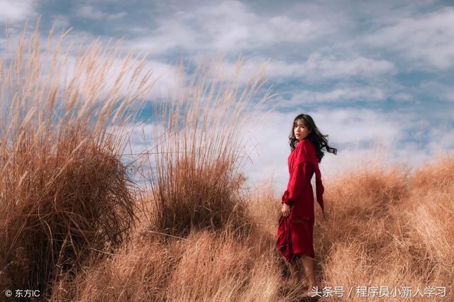 php在线预览word文档