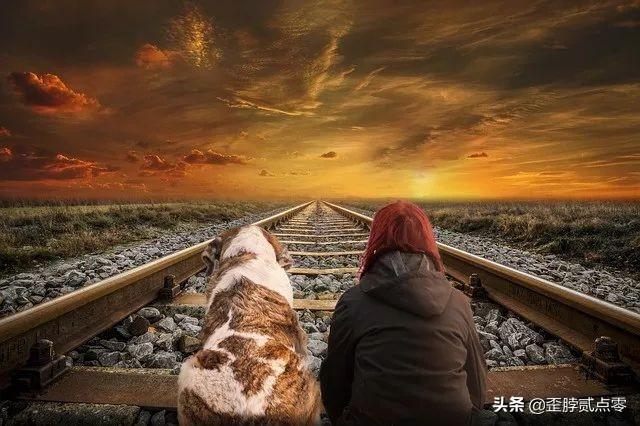 传统软件互联网行业