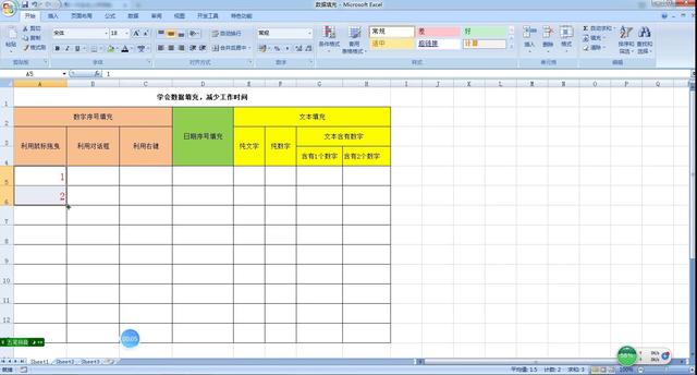 word xml数据视图