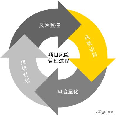 软件项目风险管理现状
