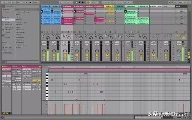 宿主软件是什么意思