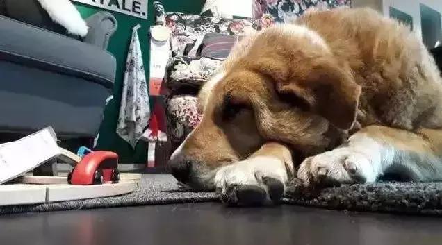 家具店营业额分析