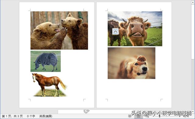 word2007如何插入图片?
