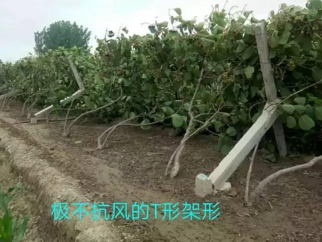 在这里，解读中国家具行业