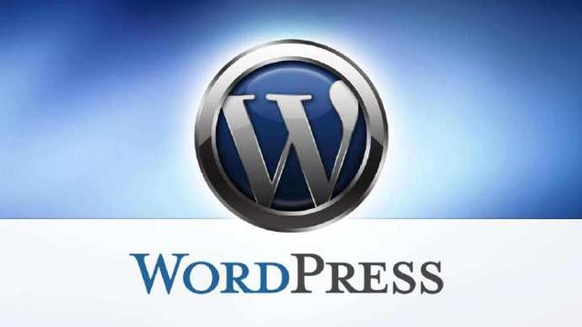 wordpress 搜索词调用