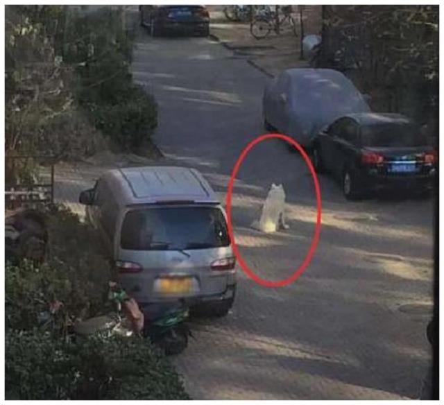 搬家送什么家具