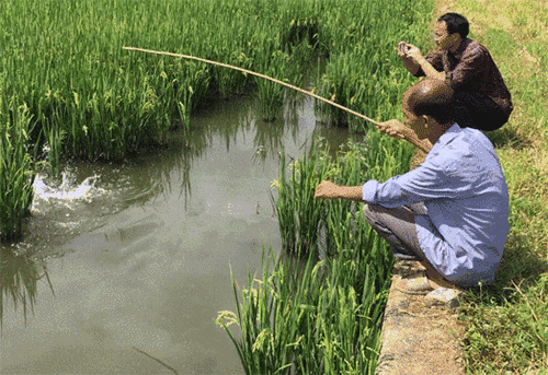 地城之光怎么钓鱼怎么装鱼饵