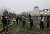 The college opens undergraduate of farm obligatory course cropland cultivate land ploughs inside sch