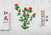 Ƽûйڹʫʵļ¼Ƭ