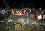 Philippine after this the biggest crocodile dies, place people is mourned with such means