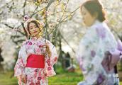Wear kimono amah to hold the girls of Wu Dashang oriental cherry, last pieces of beauty exploded!