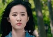 我从未忘记那一次作文600