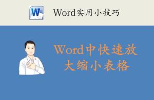 word表格最大化 word文件里表格这么最大化