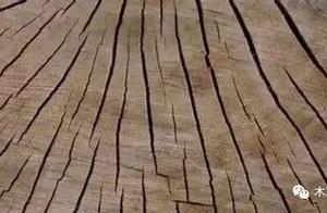 家具实木框架的好处 自然印象家具框架是什么实木