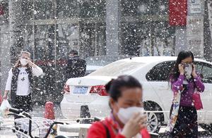 Beijing " flew in April snow " ! Dance of Yang X