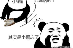 网站中文编程软件 有没有中文编程软件做网站开发的