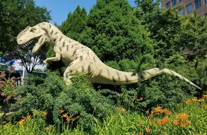 Look after children the good place of evolution of