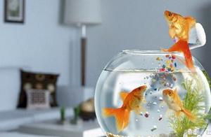 Treasure of 10 gale water enrols money to take mon