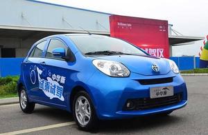 Is pig of China of China of miniature Che Huachen 