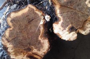 江南民间家具木料 做家具的木头都分哪些