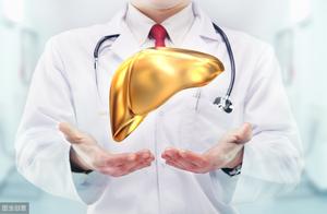 Raise liver 3 great secret of success, renown traditional Chinese medical science uncovers secret fo