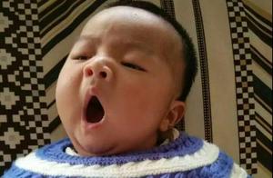 wordpress读者墙插件 如何制作wordpress读者墙