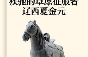 Perfectness the Japanese bachelor of 13 foreign la