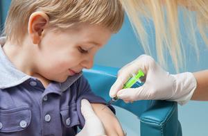 Must be second liver vaccine, wild dog vaccine, fl